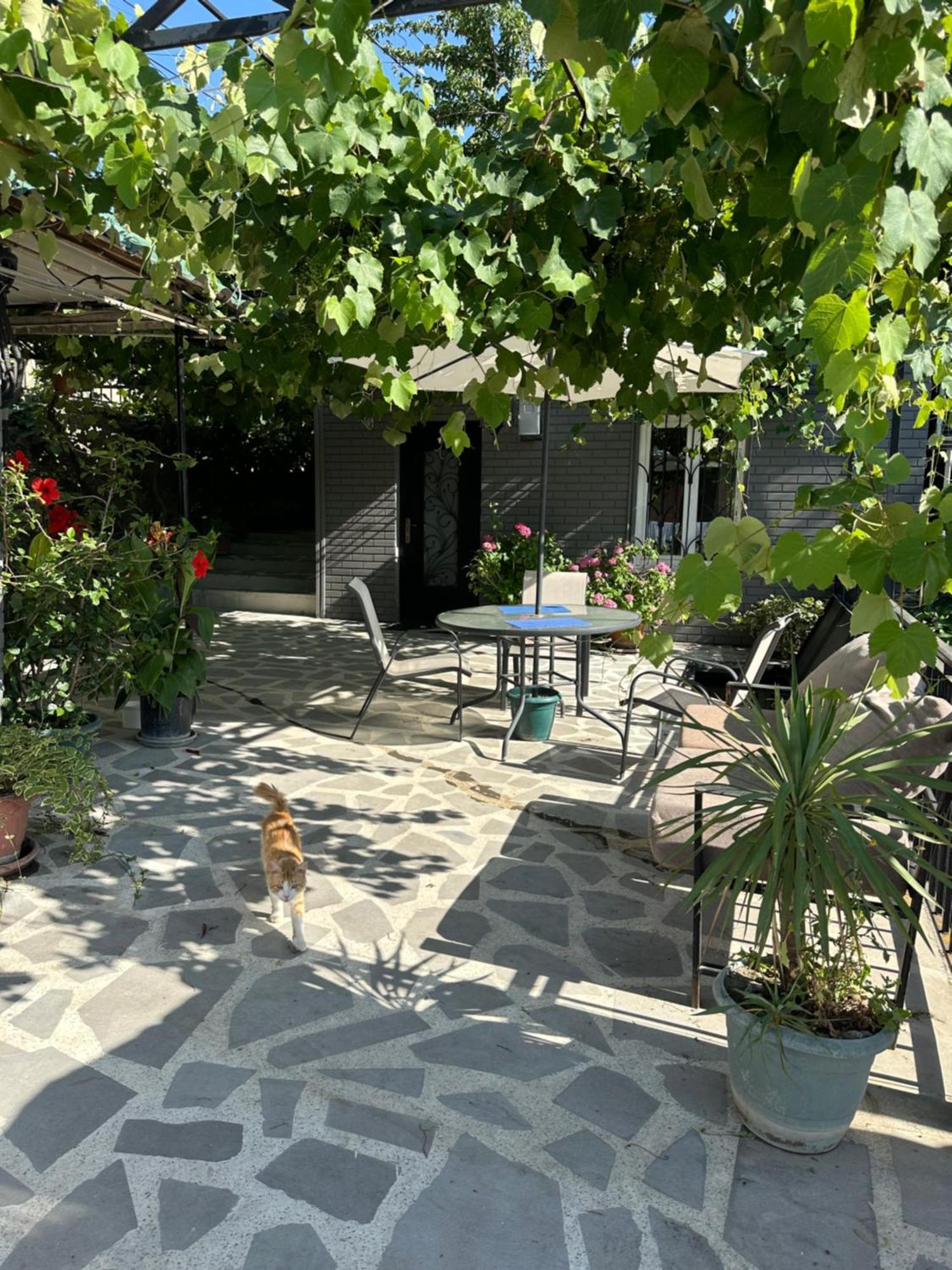 Apartment Lui Tiflis Dış mekan fotoğraf